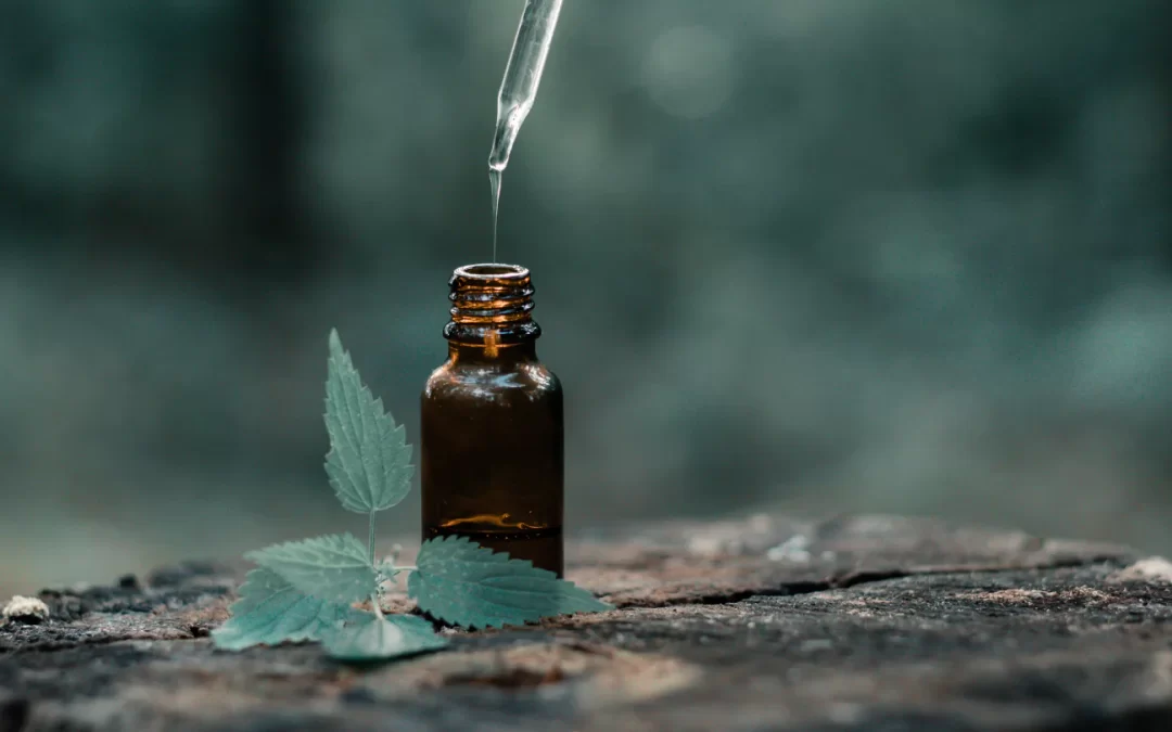 “Homeopathy for Stress, Anxiety, and Sleep Disorders: A Gentle Yet Effective Solution”